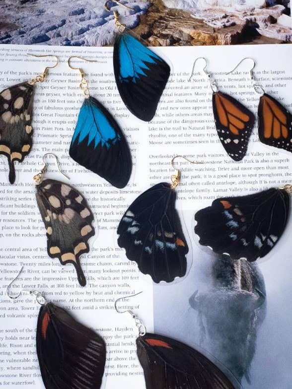 Assorted Butterfly Wing Earrings - Bulk for wholesale by Shutterhaus