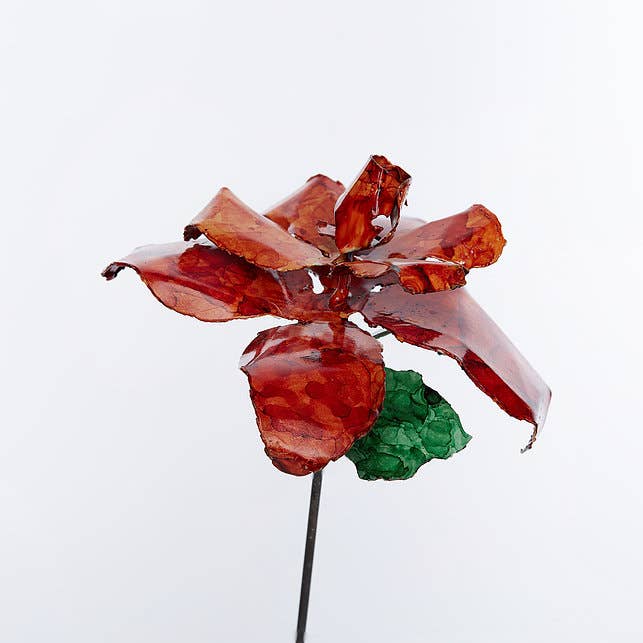 Orange Rose for wholesale by Bobbianne's Flowers