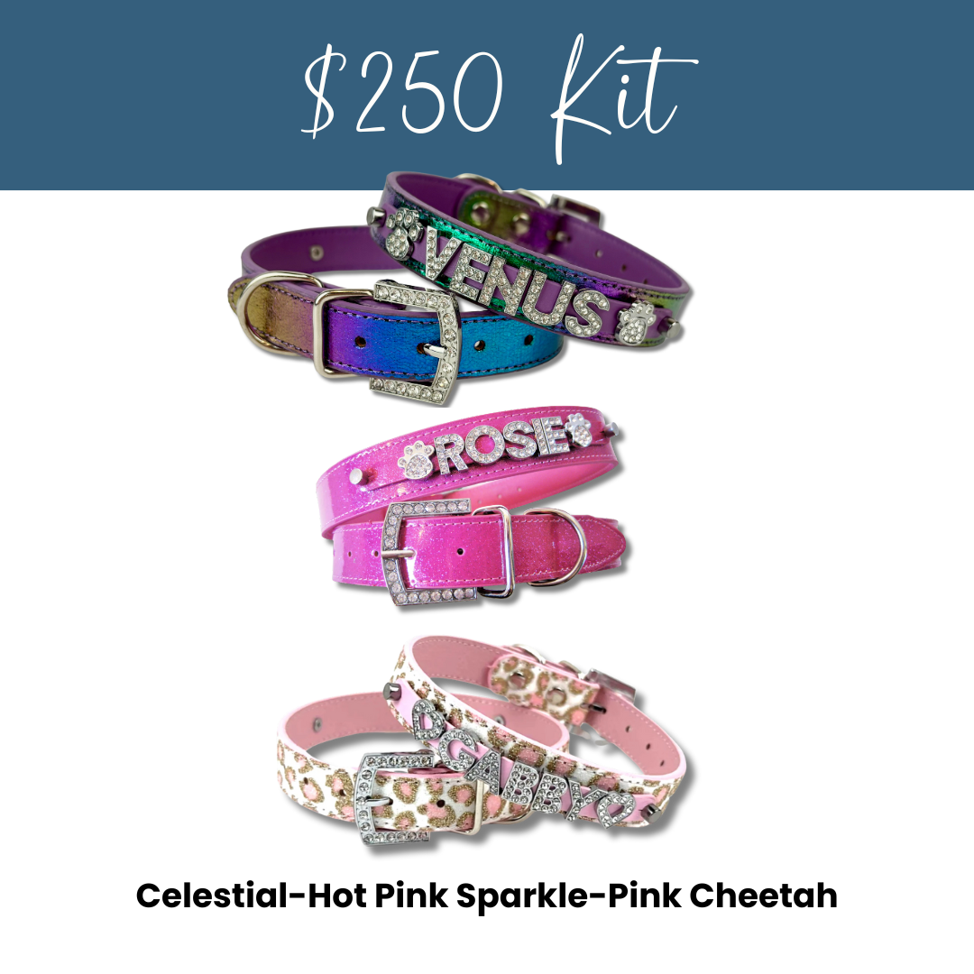 House of FurBaby - Wholesale Pet Collar - Cat/Dog - DIY Pet Collar Bar Kit: Silver Sparkle 280 Pieces $600 Value19