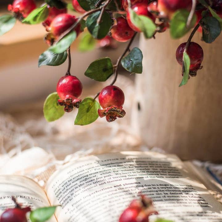 Rustic Reach - Wholesale Artificial Plant - Artificial Fruit Pomegranate Fruit Bouquet 12" Tall1