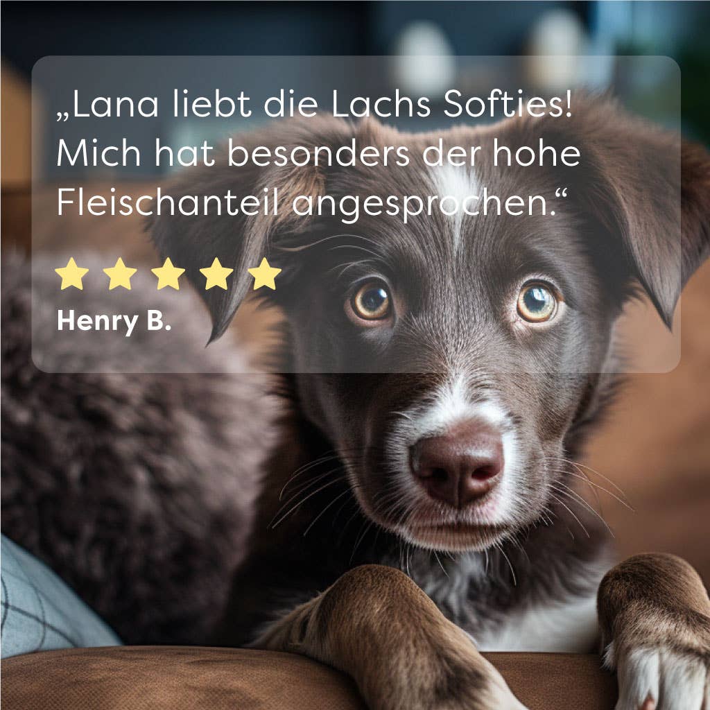 DrSAM - Wholesale Pet Treats - Dog - Salmon Softies healthy treats for dogs5