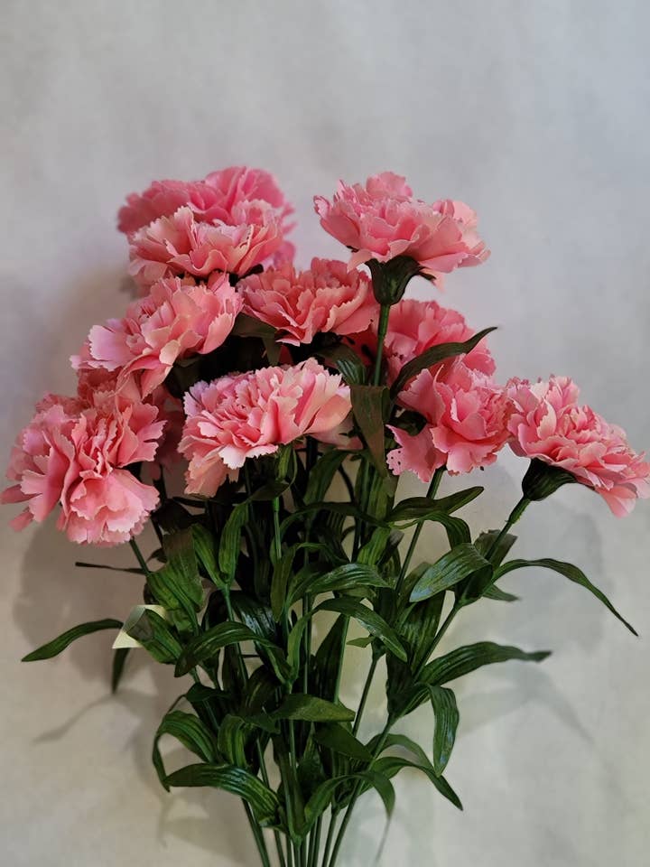 12 ŒILLETS ROSES pour la vente par Waterman's Loft Inc.