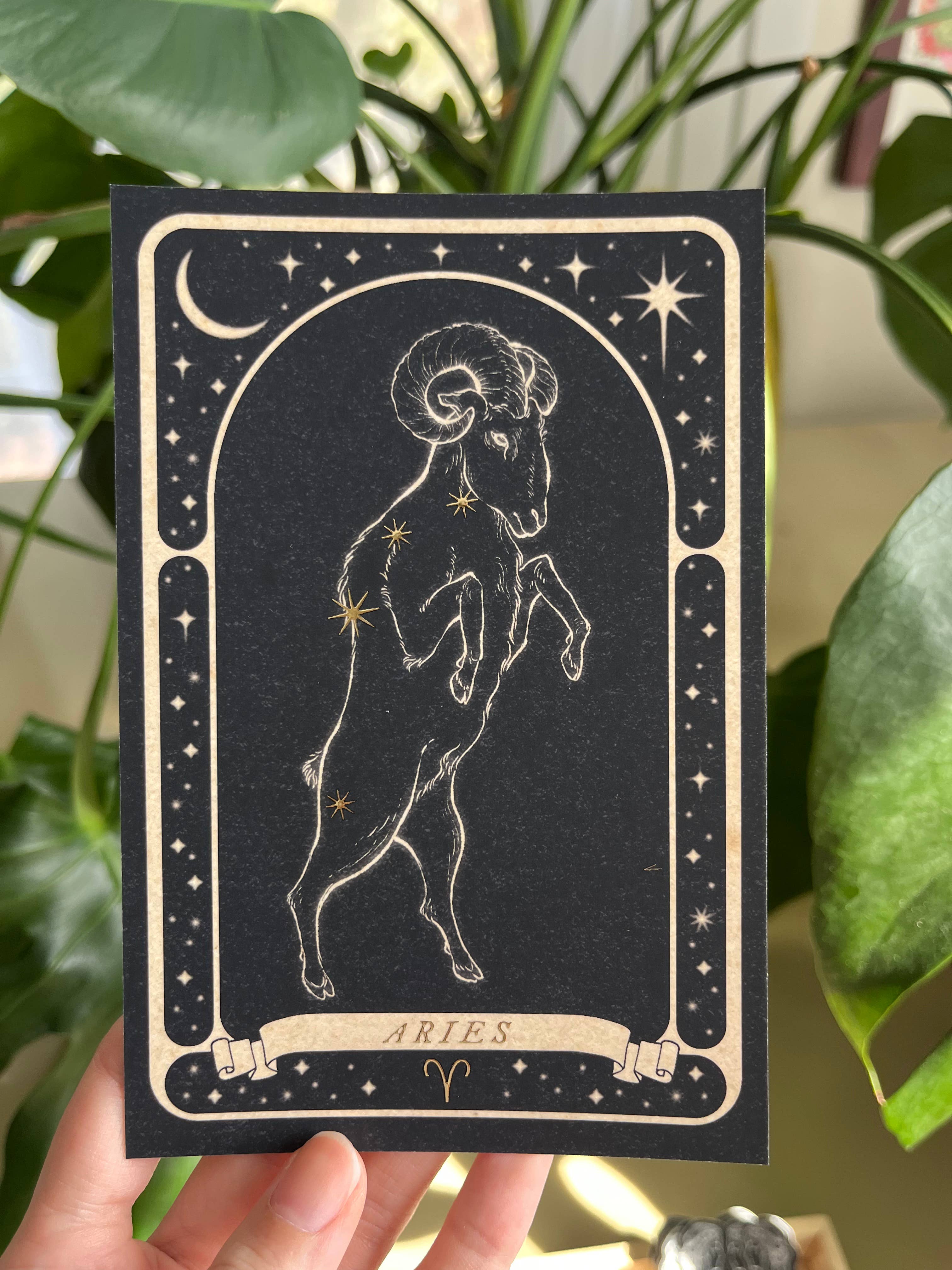 Lauren Noel Studio - Wholesale Postcard - Zodiac Gold Foil Postcard9