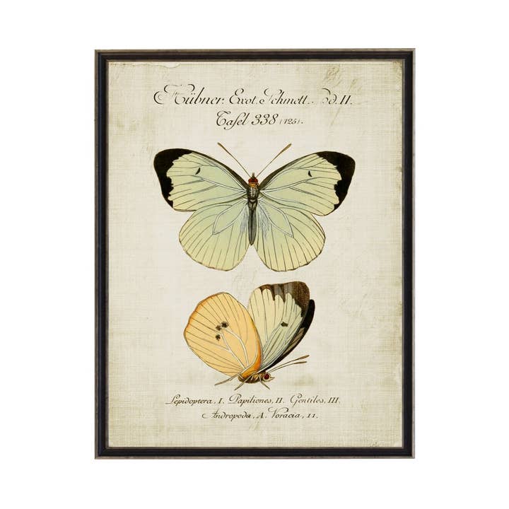 Vintage Spa And Yellow Butterfly Bookplate On Title Plate for wholesale by Antique Curiosities Inc