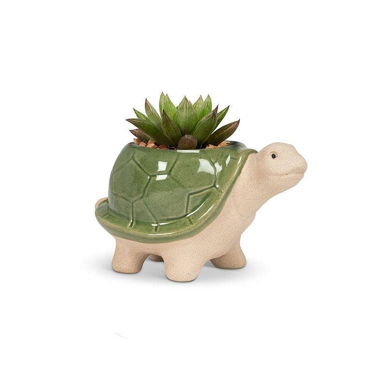 Abbott – Engroshandel Plantekrukke – Sm Skildpaddeplanter-Grn-3.5"H3