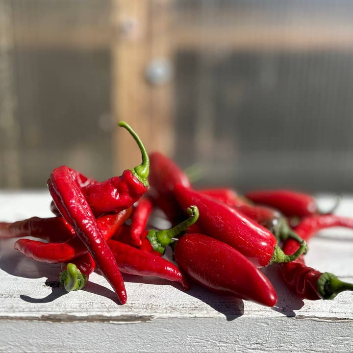 Silver Leaf Farms - Wholesale Hot Sauce - Cayenne Fermented Hot Sauce2