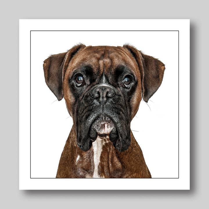 Boxer - Dog Greeting Card for wholesale by GRUFFPAWTRAITS