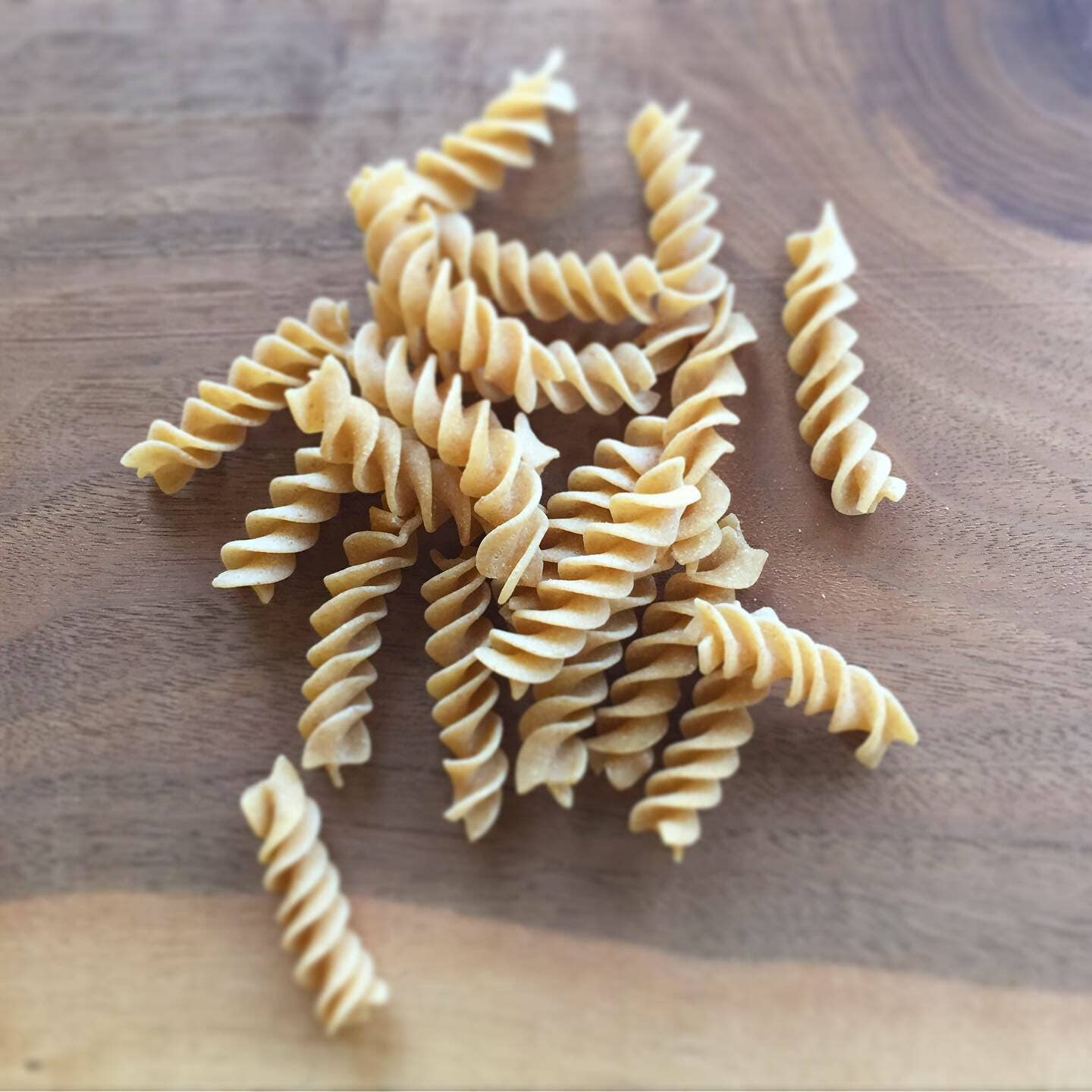 Pastificio Boulder - Wholesale Pasta - Heirloom Wheat Dry Pasta - Fusilli4