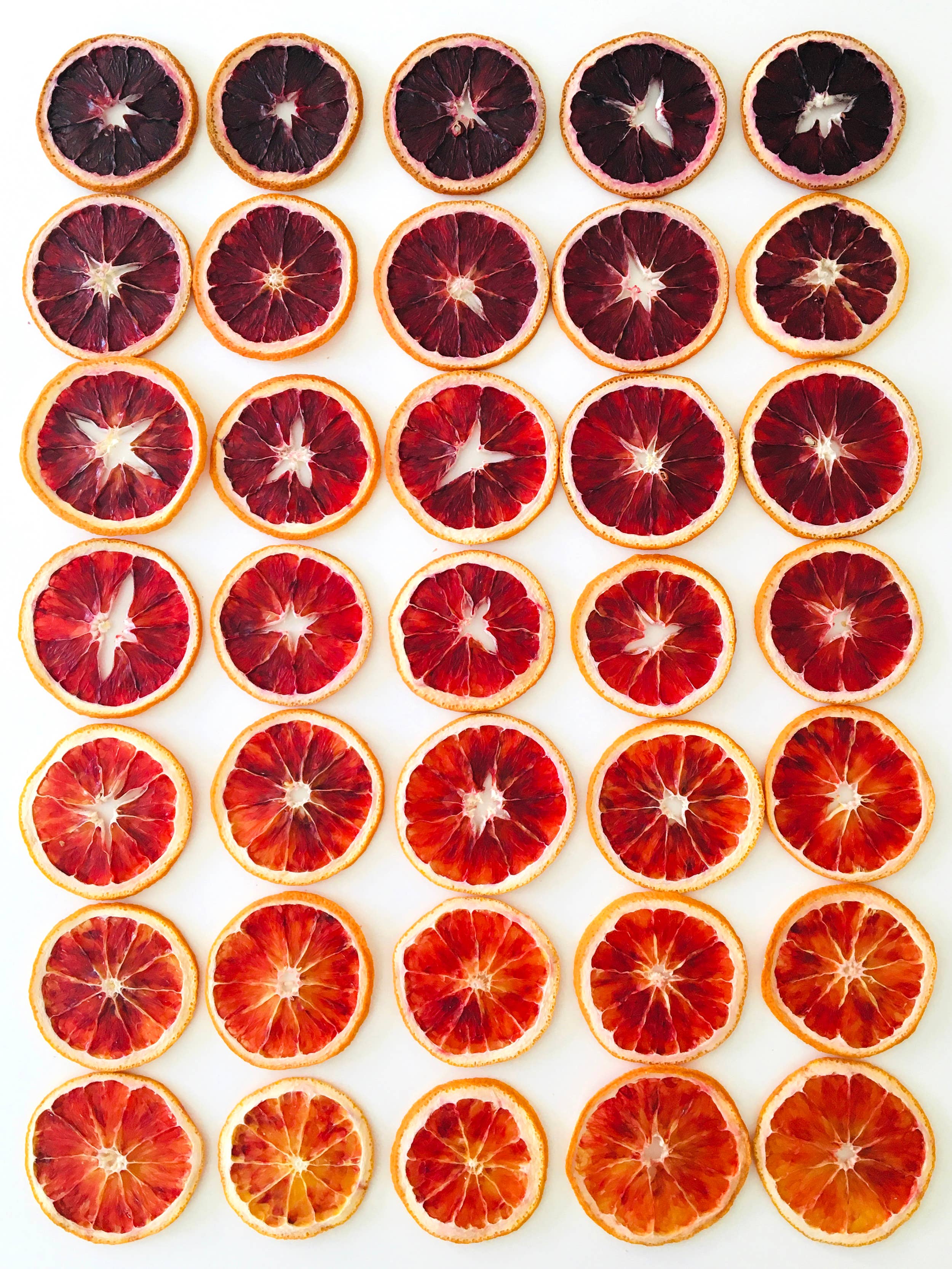FreshDried - Wholesale Dried/Dehydrated Fruit - Dried Blood Orange Wheel - organic1