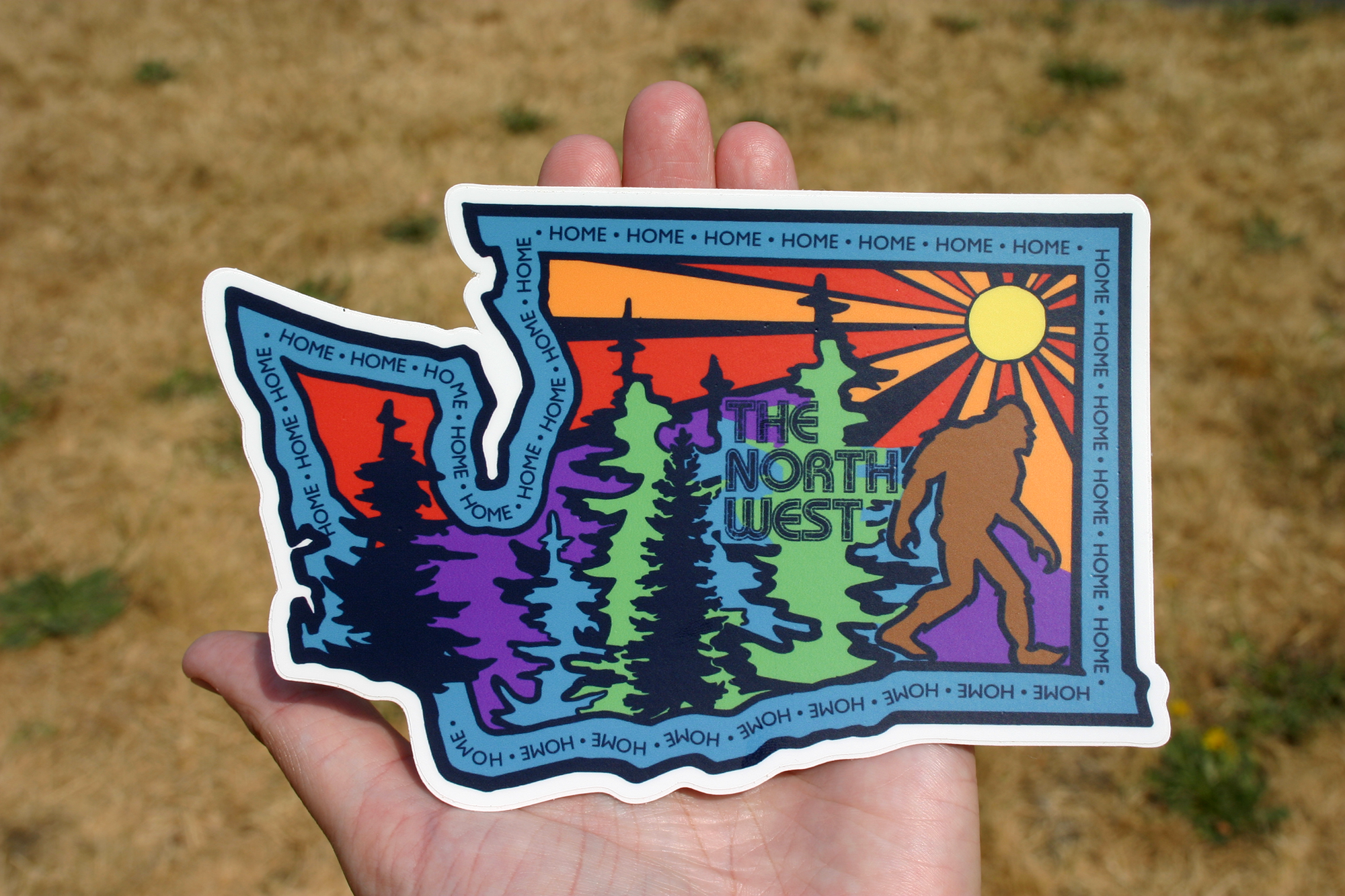 Discovery Stickers - Wholesale Sticker - The North West, Washington State Vinyl Sticker1