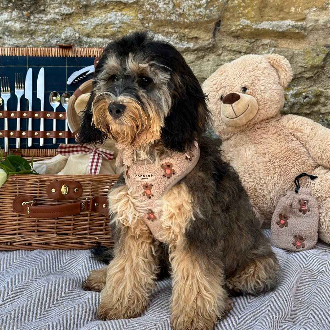 Cocopup London - Vente Harnais – chien - Harnais réglable pour chien avec oursons brodés Cocopup London17