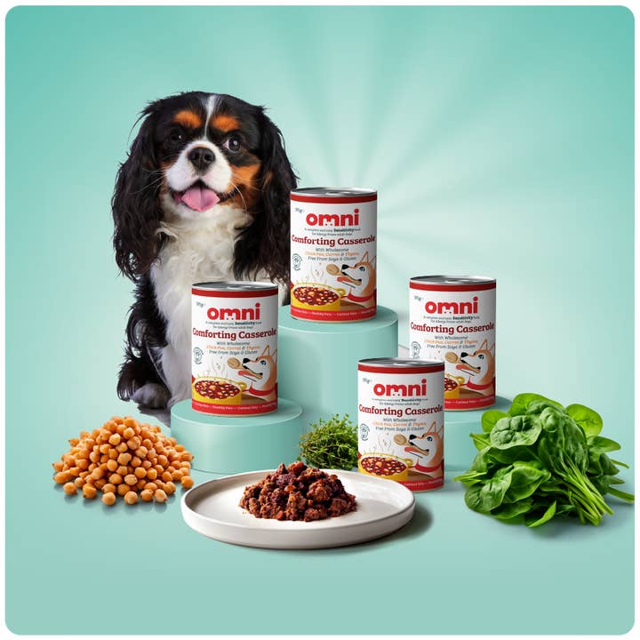 Comforting Casserole and other Purchase wholesale lazy lobster foods. Free returns & net 60 terms on Faire trending on Faire.