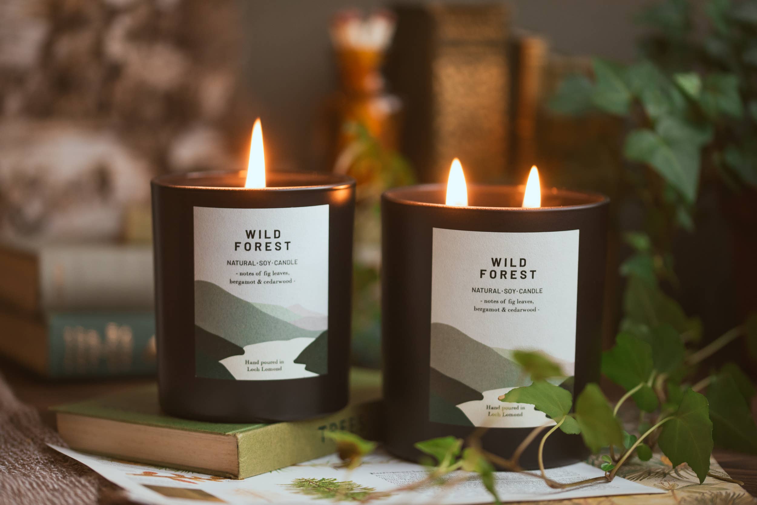 Ocoee House – wholesale Jar/filled candle – Wild Forest, Organic & Vegan Scented Candle | Ocoee House3