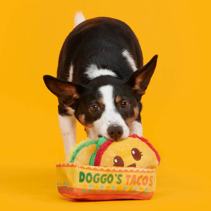 Pet Palette Distribution - Wholesale Pet Plush Toy - Dog - BARK Doggos Tacos Plush Dog Toy2