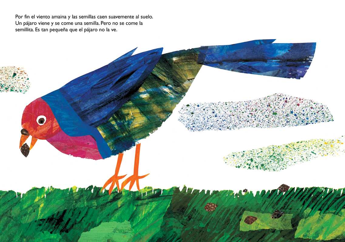 Simon & Schuster - Wholesale Preschool Book (3-5) - La semillita (The Tiny Seed) by Eric   Carle6