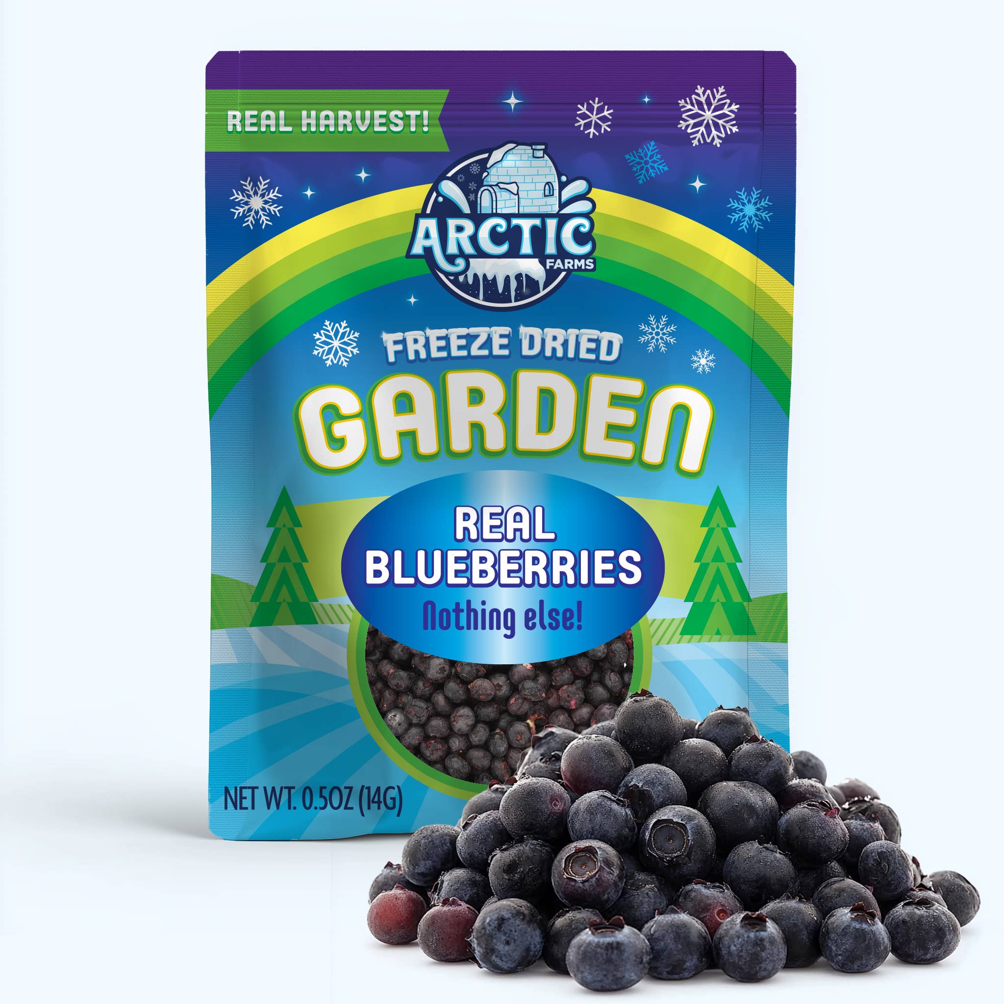 Arctic Farms - Vente Fruits secs/déshydratés - Myrtilles lyophilisées Arctic Farms Garden (vrais fruits)7