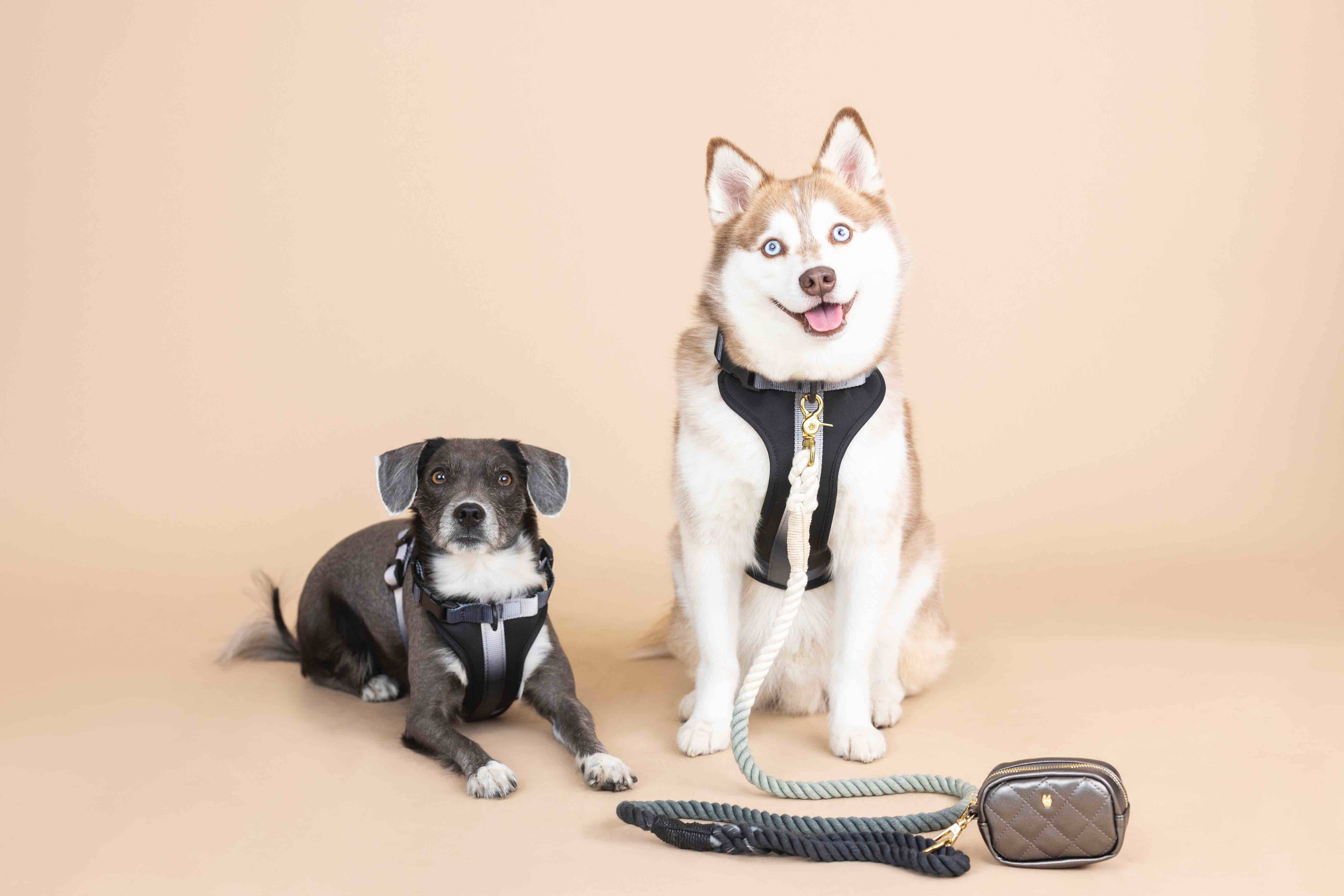 Pink Papyrus | Premium, Durable, & Stylish Dog Products - Venta al por mayor Arnés - Perros - Arnés para Perros Rowan | Arnés Antitirones para Perros | Arnés Negro para Perros10