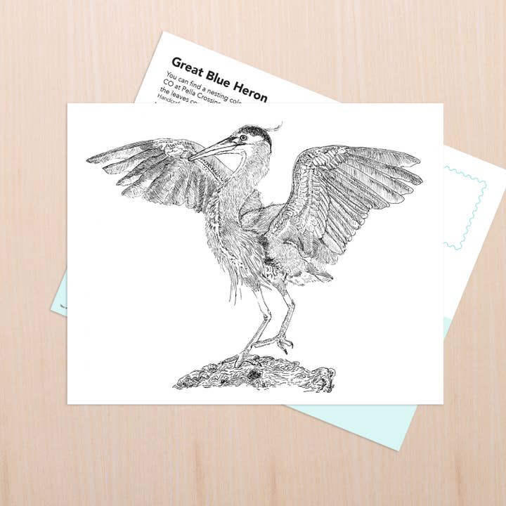 Great Blue Heron Art for wholesale by Coy Ink Studio