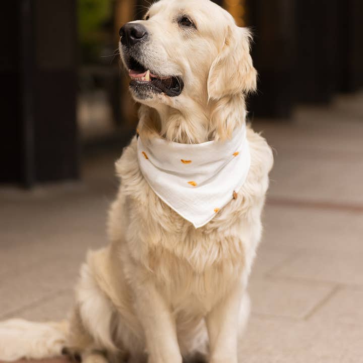 Lieblingspfote - Wholesale Pet Bandana - Dog - Muslin Scarf "CROISSANTS"