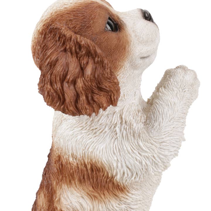 Praying Cavalier King Charles Spaniel Puppy Statue for wholesale by Hi-Line Gift Ltd.