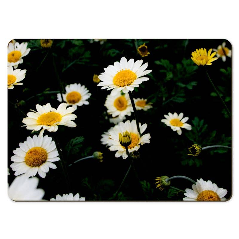 Gregory Dennis Design - Wholesale Placemat - 6 Floral Placemats  - Daisy5