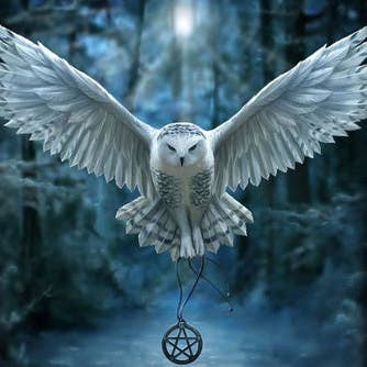 Wizard's Owl 40x50 Square for wholesale by Art for Anxiety