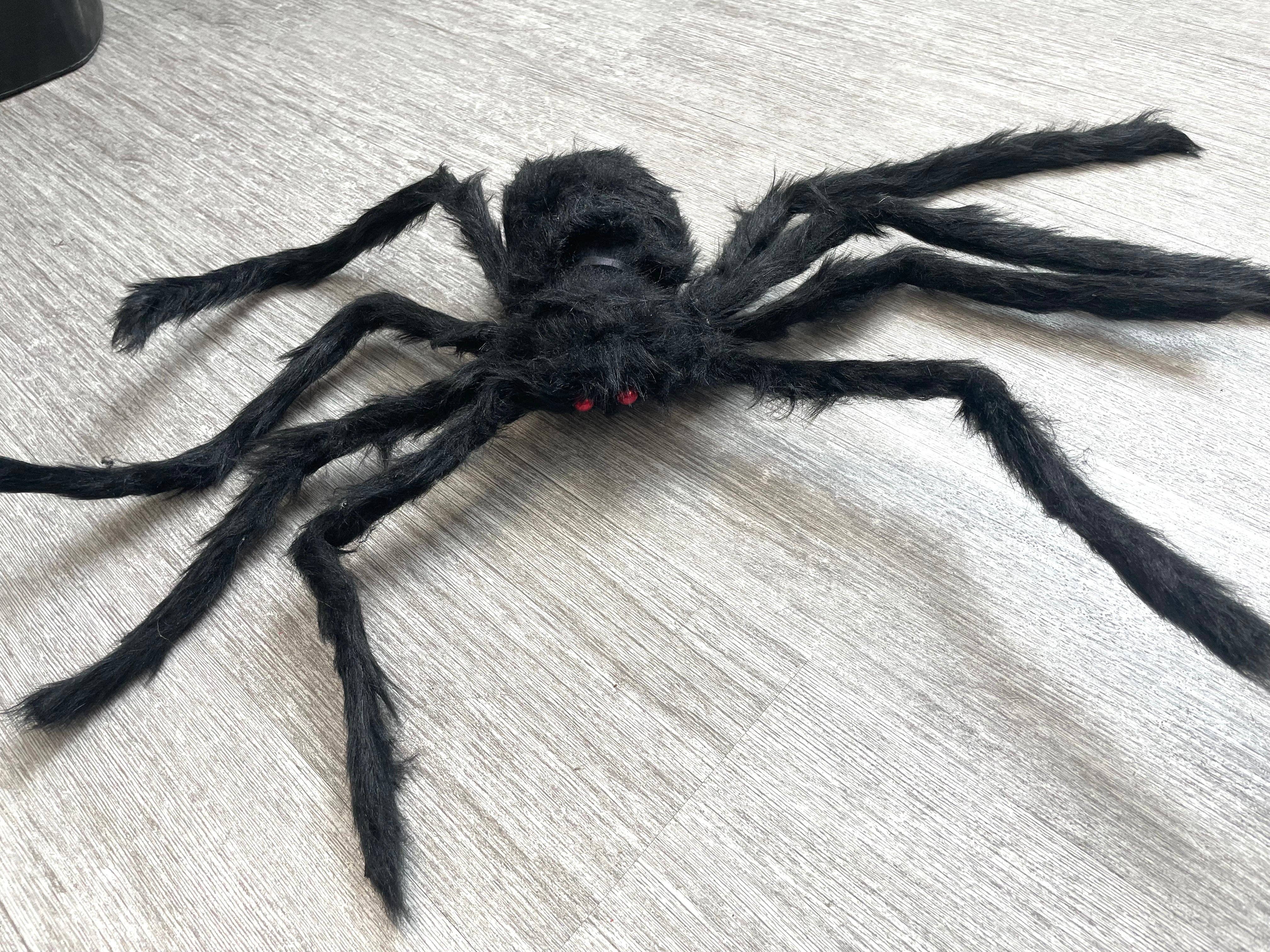 Kate Tuesday Jewelry - Wholesale Outdoor Ornament/Decor - 3 Sizes Spider Halloween Decoration10