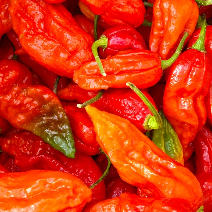 Weymouth 51 Hot Sauces ā wholesale Hot sauce ā Luxury Christmas Pudding hot chilli sauce 220ml7