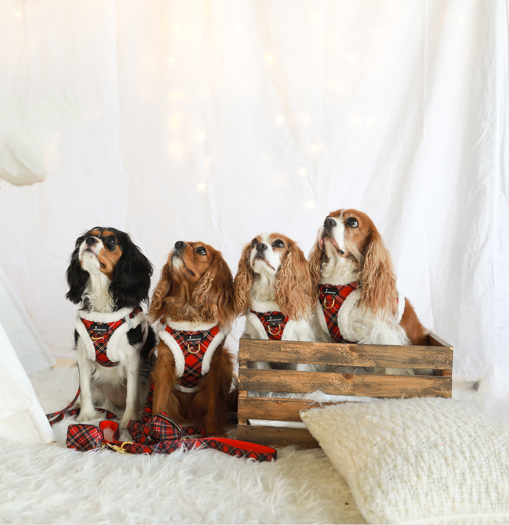 Cavology - Wholesale Pet Harness - Dog - VEST STEP IN HARNESS - Red Plaid Tartan Sherpa Winter Wonderland4