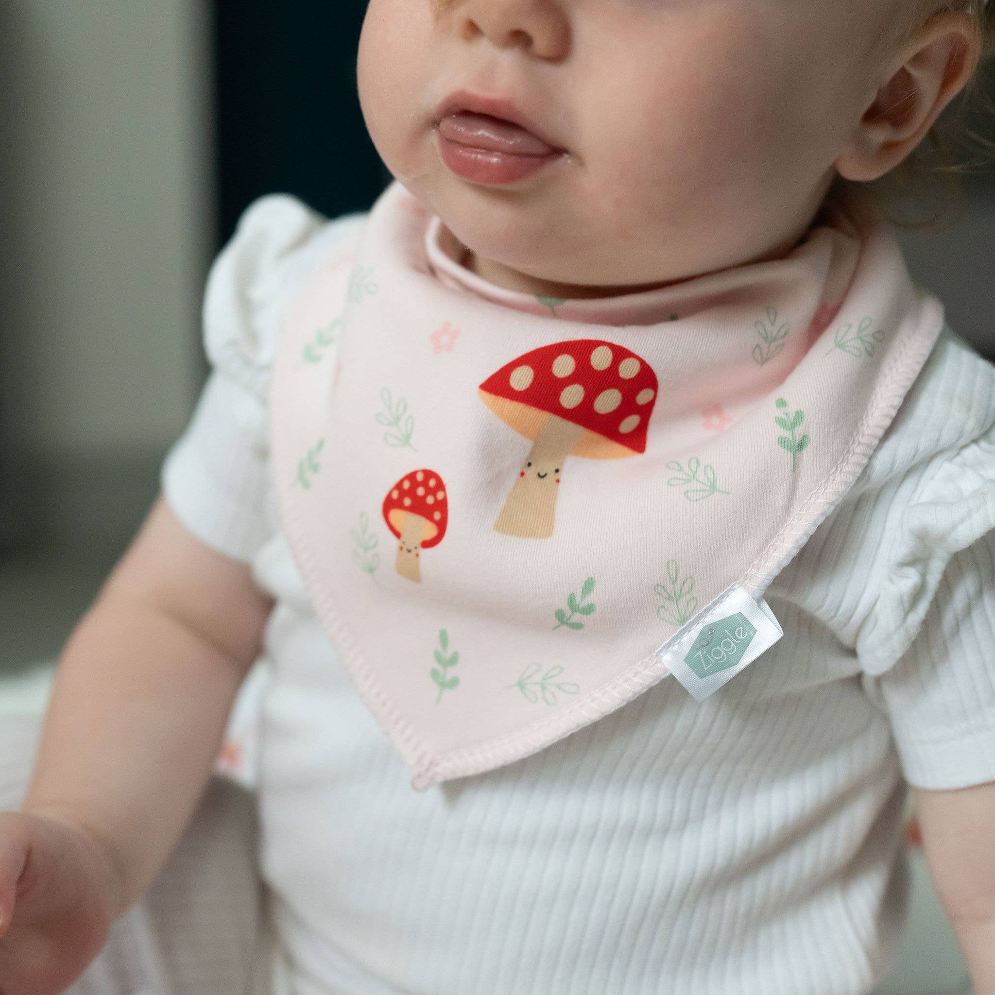 Ziggle Baby – wholesale Bib – Baby – Woodland bib set7