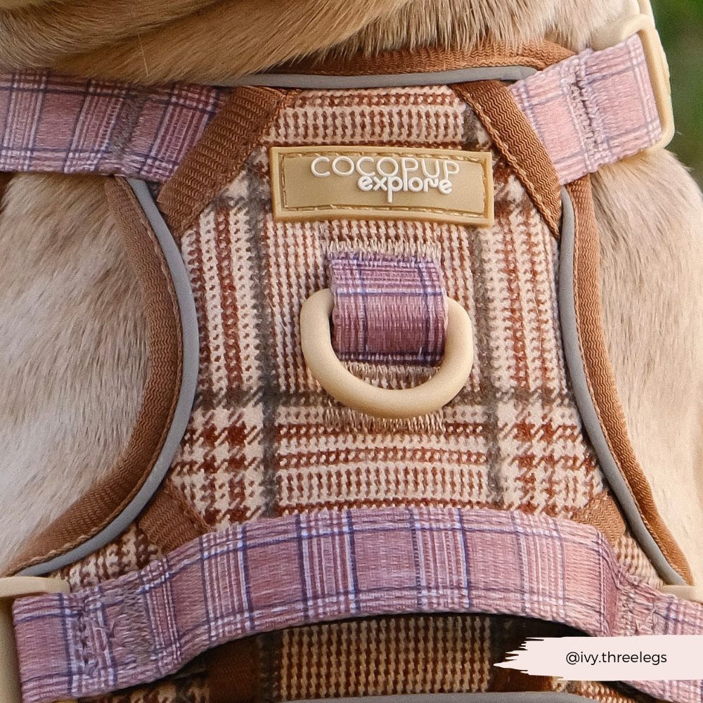 Cocopup London – wholesale Pet harness – Dog – Explore Harness - Pup Plaid24