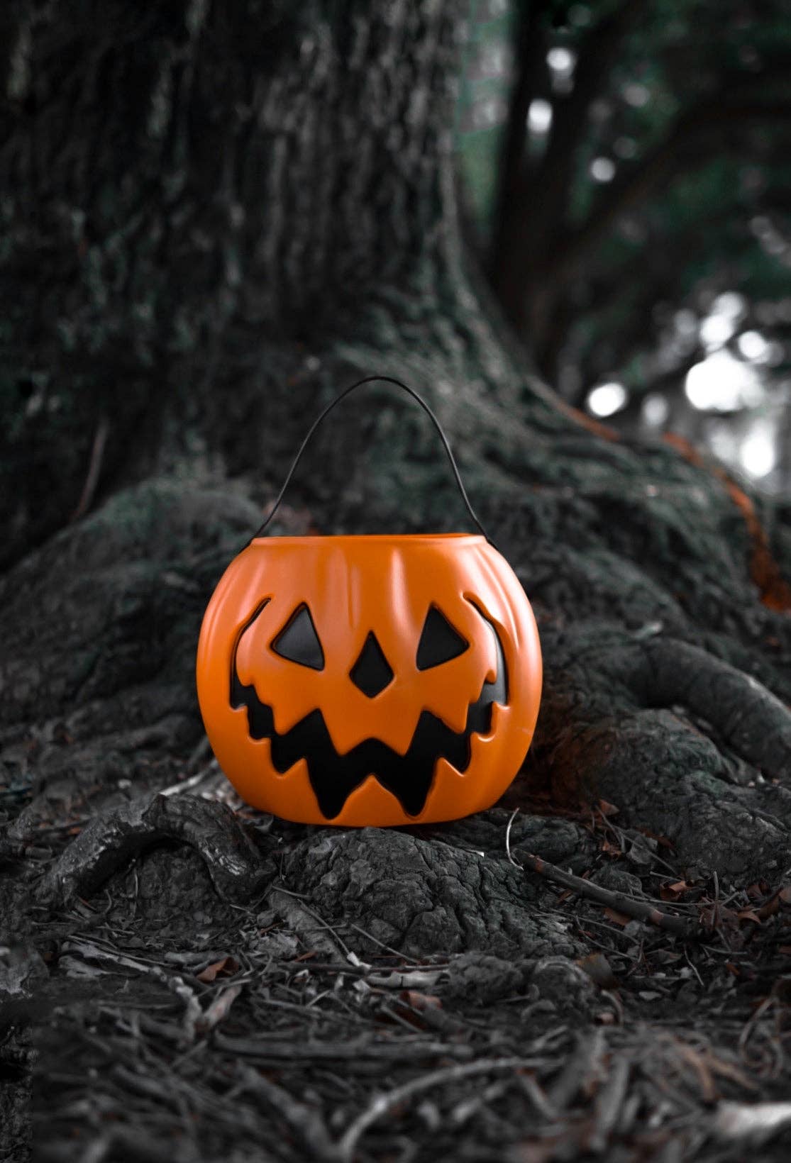 Lively Ghosts – wholesale Bucket/pail – Orange Haunted Hallows Pumpkin Pail7