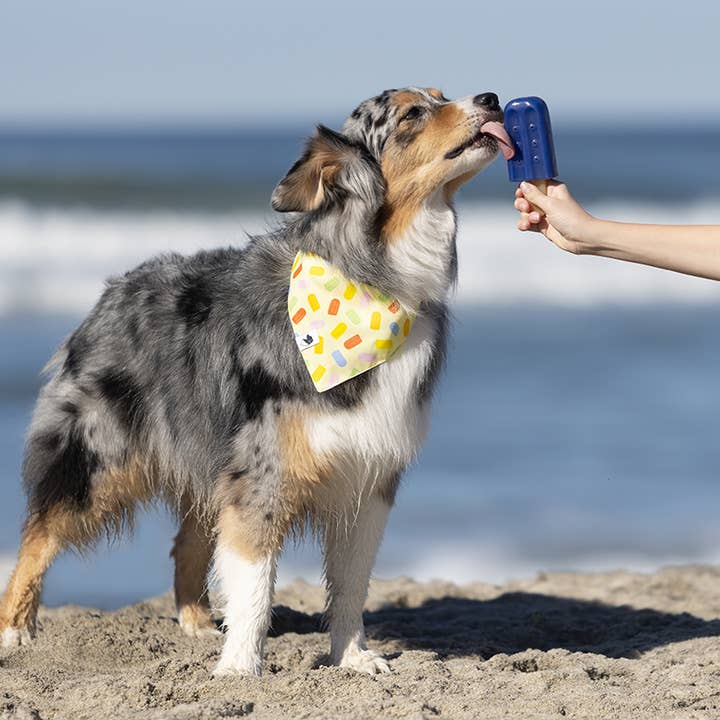 Dog Bandana Co. - Wholesale Pet Bandana - Dog - Popsicle Dog Bandana1