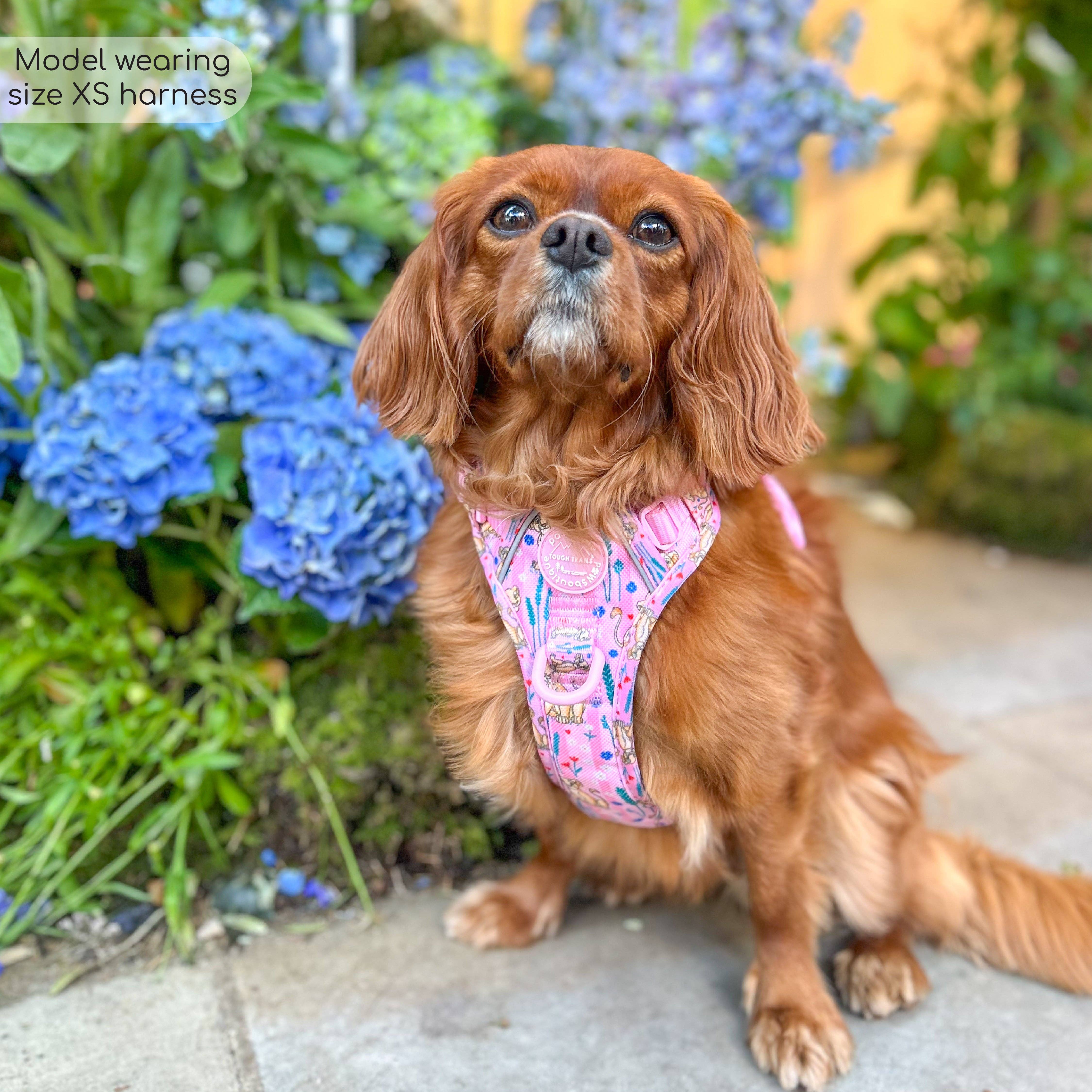 Pawsome Paws - Vendita all'ingrosso Pettorina - Cani - Imbracatura Disney© Tough Trails™ - Nala6