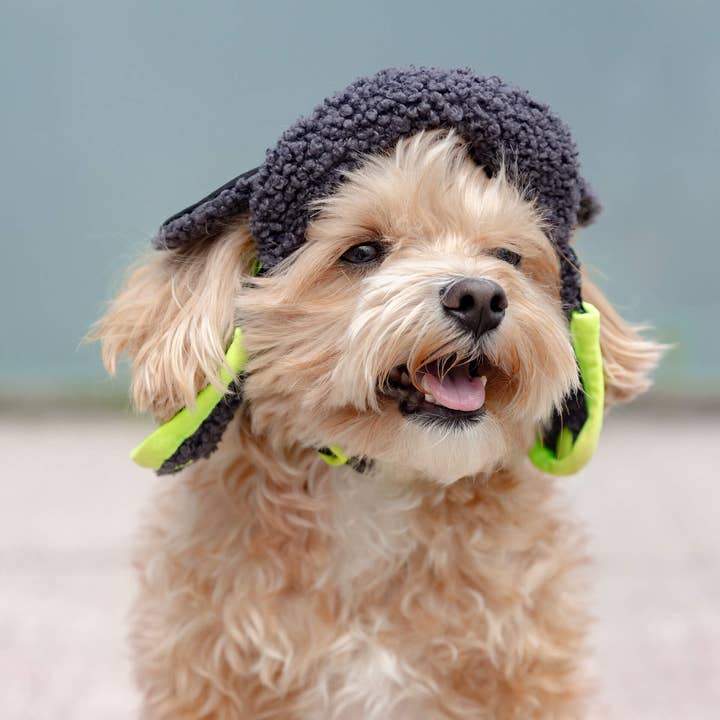 Canada Pooch - Wholesale Pet Hat - Dog - Cool Factor Aviator Hat 3