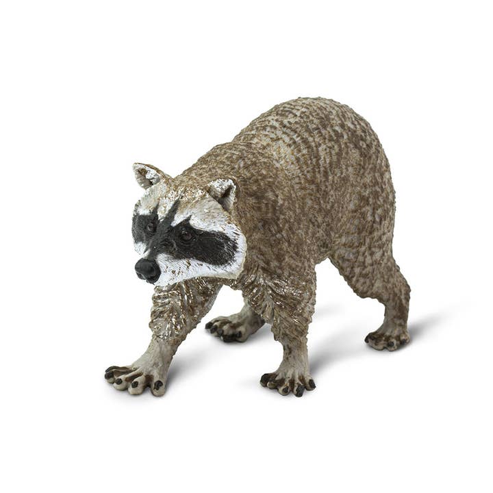 Safari Ltd. - Wholesale Decorative Figurine - Raccoon - 2230293