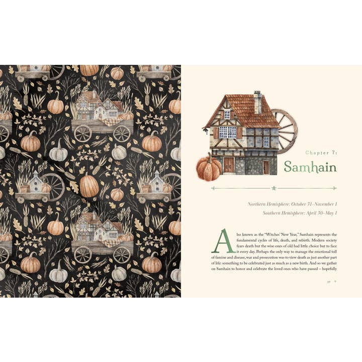 ROCKPOOL PUBLISHING - Wholesale Book - Adult - The Witch's Apothecary