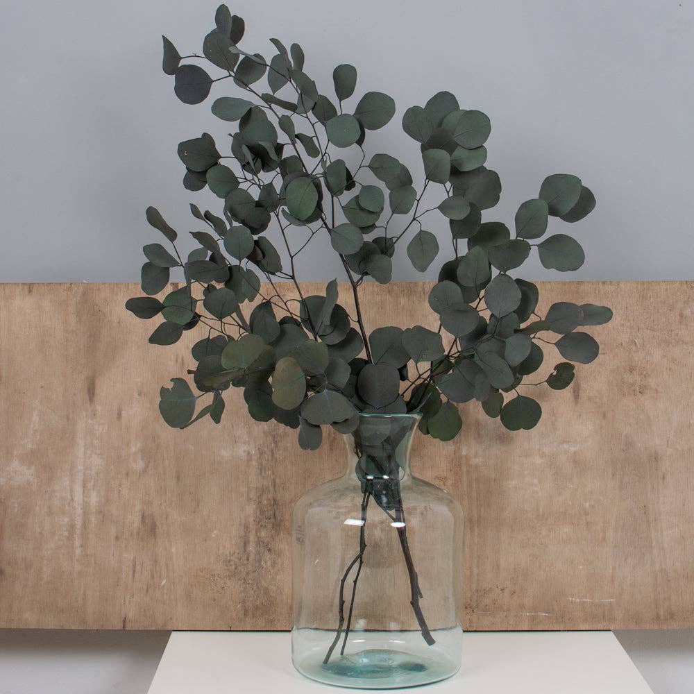 pampas studio uk - Wholesale Dried/Pressed Flowers - Eucalyptus Preserved Populus Green0