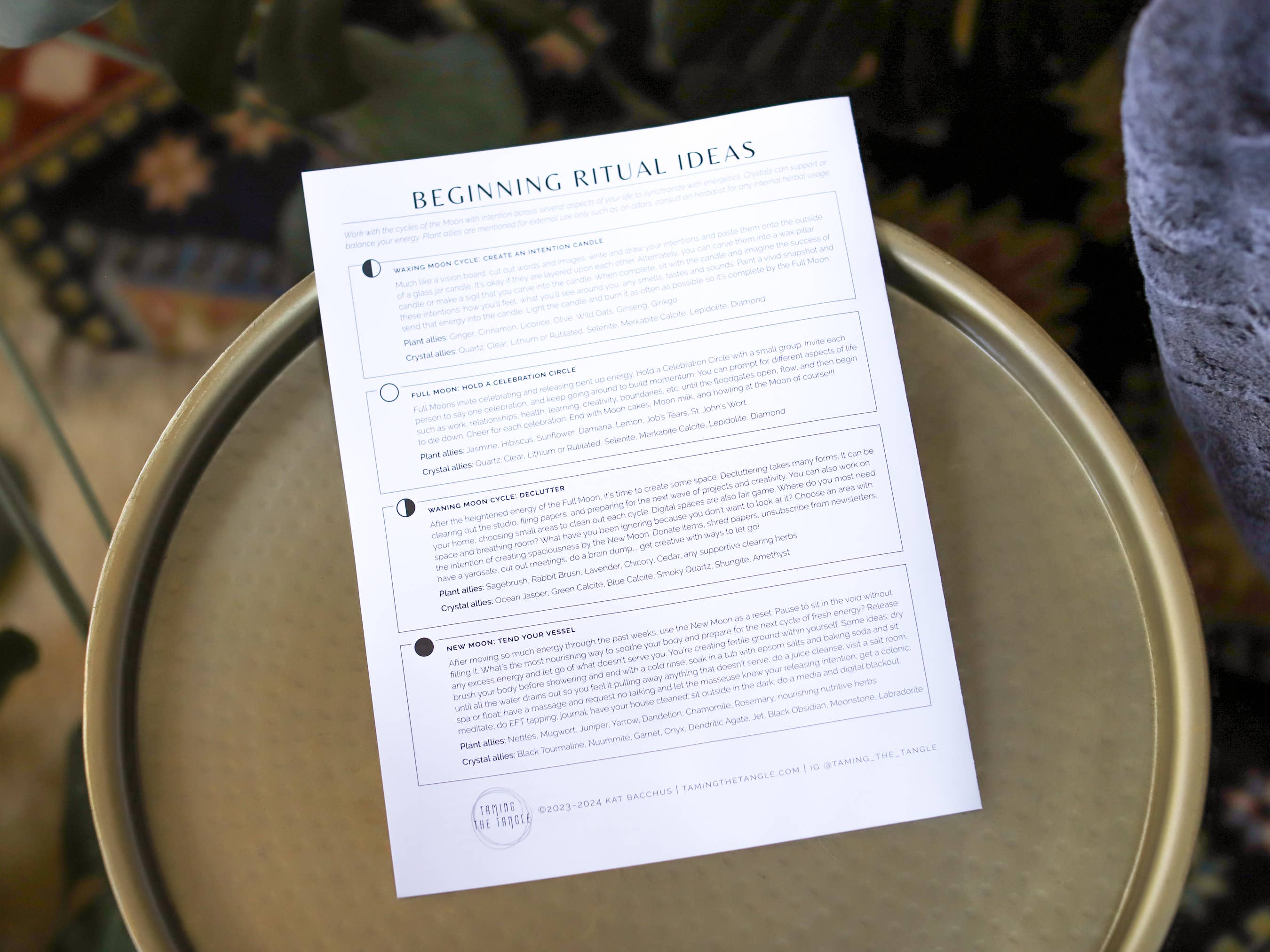 Taming the Tangle - Wholesale Calendar - Golden Hour 2026 Moon Calendar poster, limited edition8