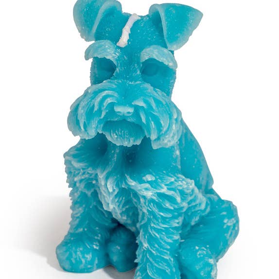 Hellblau Miniatur Schnauzer Kerze für den Großhandel von McGowan & Rutherford Ltd
