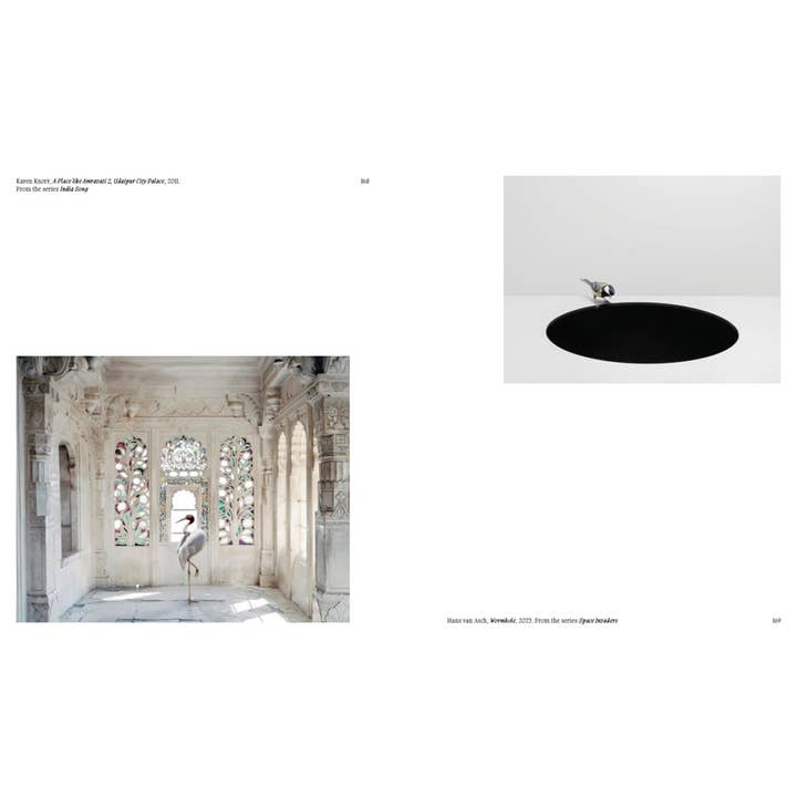 W. W. Norton - Wholesale Display Book - Aviary: The Bird in Contemporary Photography11