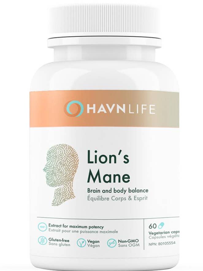 Lion's Mane for wholesale by Havn Life