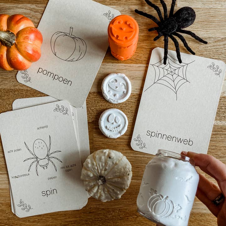 Lifecycle flashcards spin - Educatief speelgoed voor wholesale door Wildebras