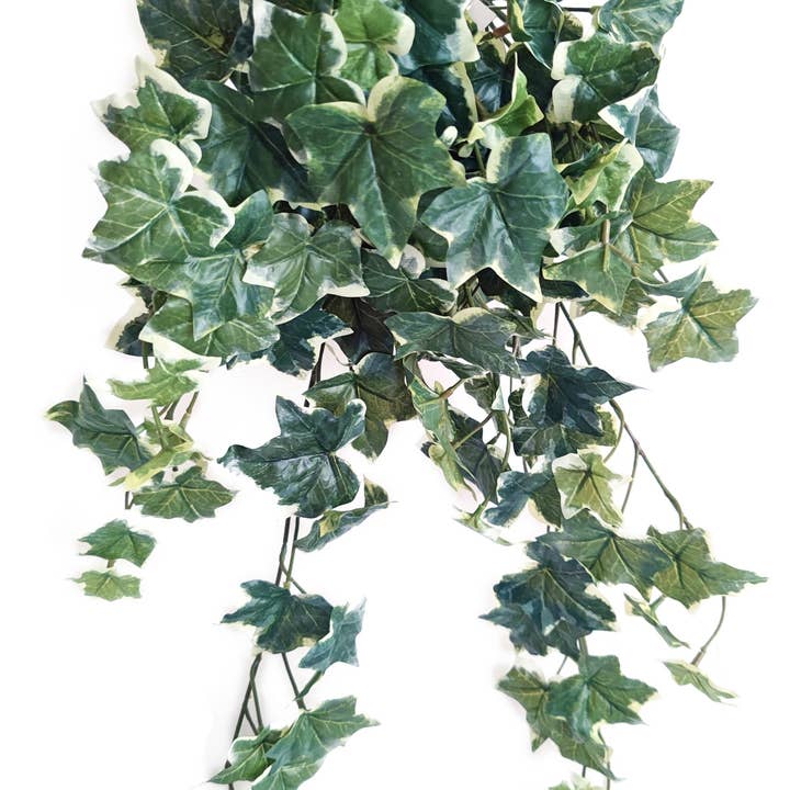 Sage Ivy Hanging Bush Real Touch Variegated 26" for wholesale by ES Essentials