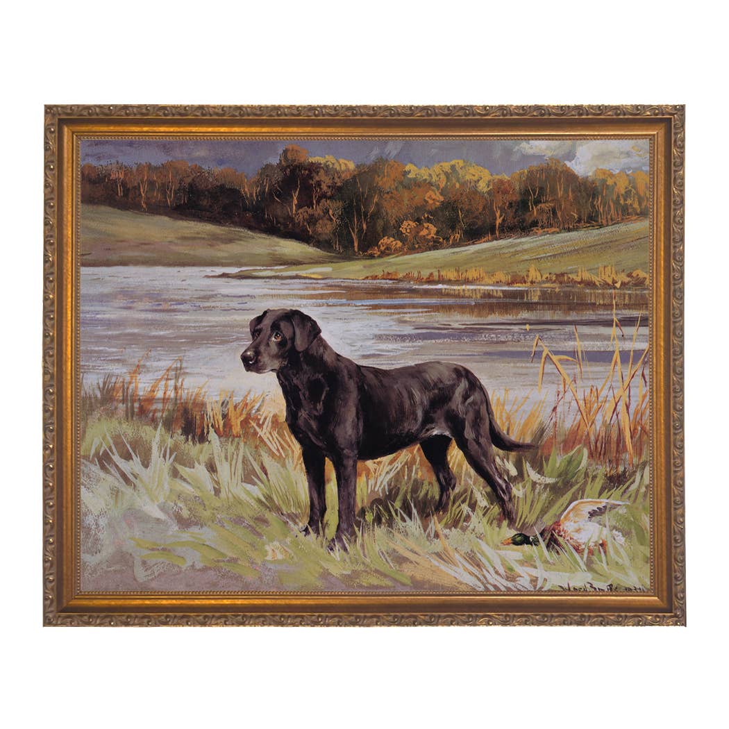 Madison Bay Co. - Historical Home Decor Reproductions - Wholesale Art Print - Labrador Retriever with Duck Framed Painting Print on Canvas9