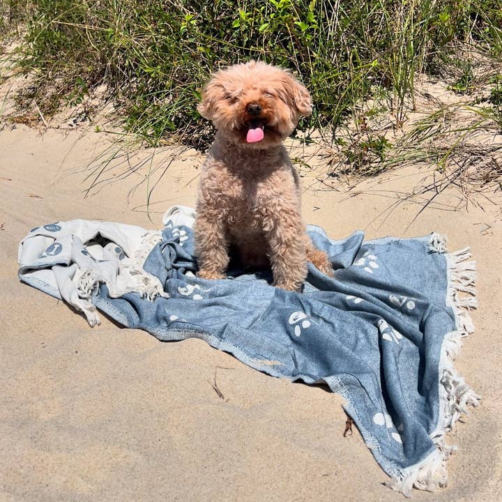 Great Dog towel for wholesale by niche