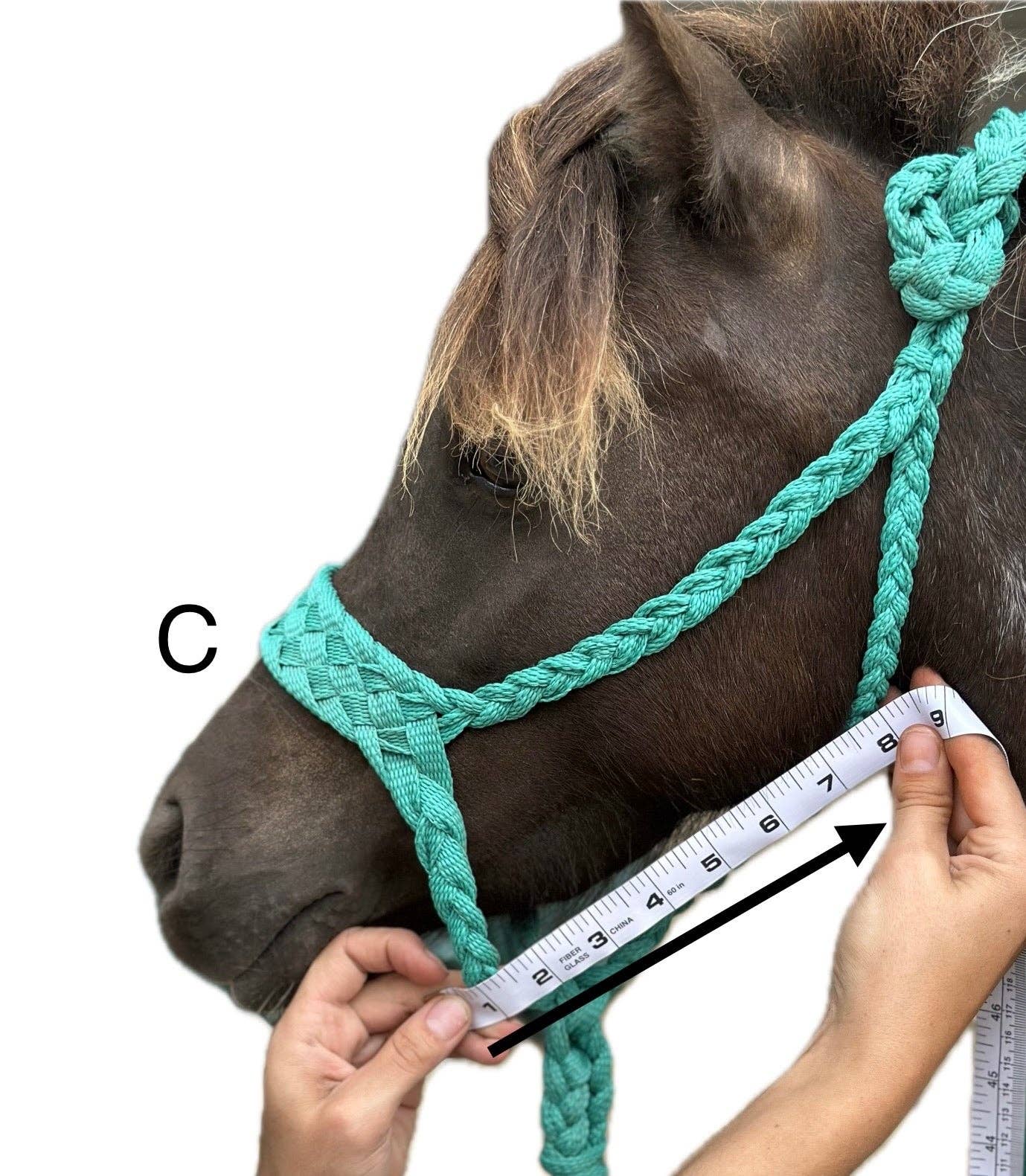 Wilder Trading Company – wholesale Horseback riding gear – Custom Halter & Lead Rope6