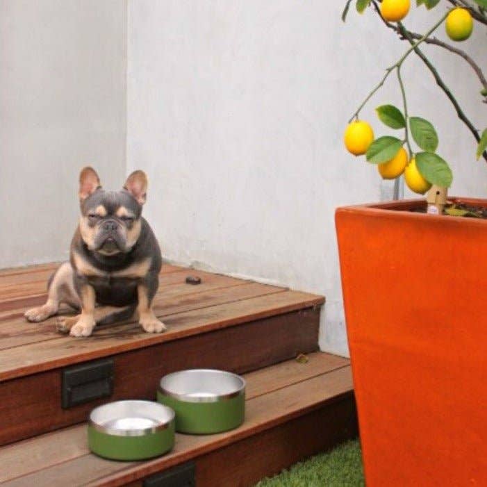 Tilley + Me - Wholesale Pet Bowl - Cat/Dog - Stainless Steel Pet Food + Water Bowl | 32oz and 64oz13