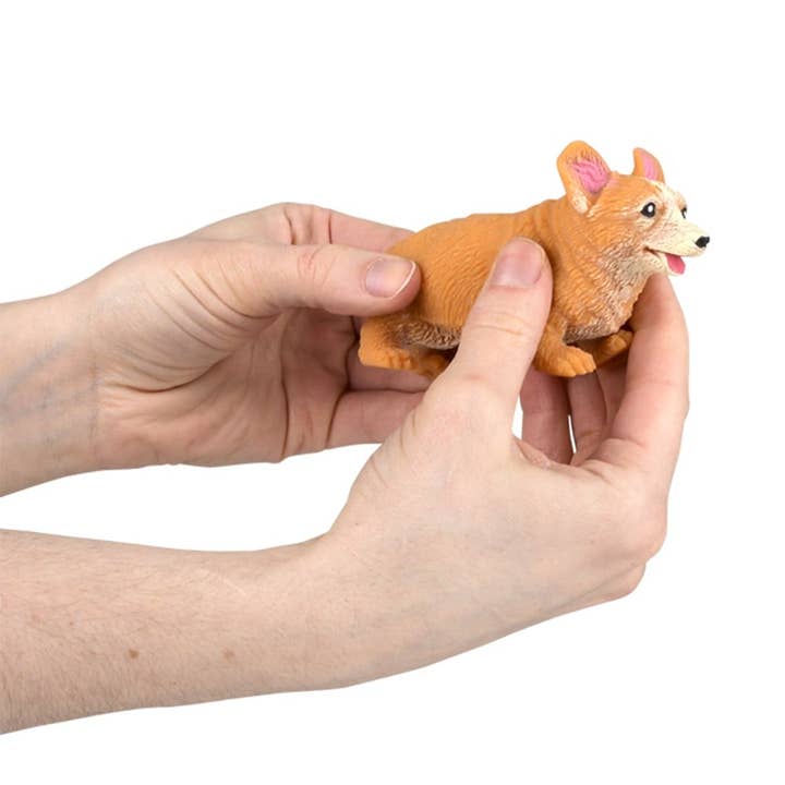 La Luna Bella - Toys - Wholesale Squishy Toy - Kids & Baby - 4" STRETCHY, SQUISH CORGI LLB Squishy Toys