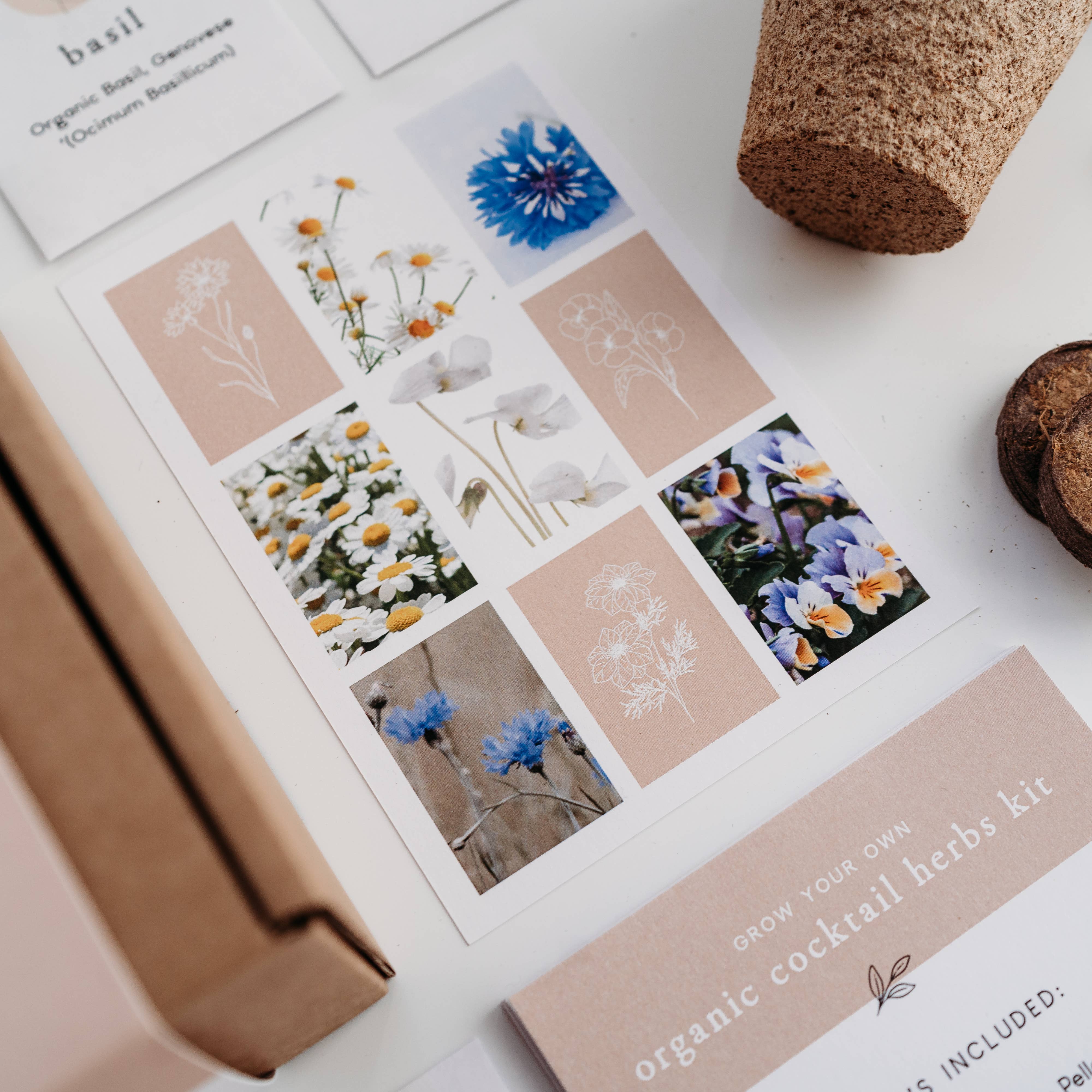 The Little Allotment Company – wholesale Plant seeds – Grow Your Own Cocktail Herbs Kit1